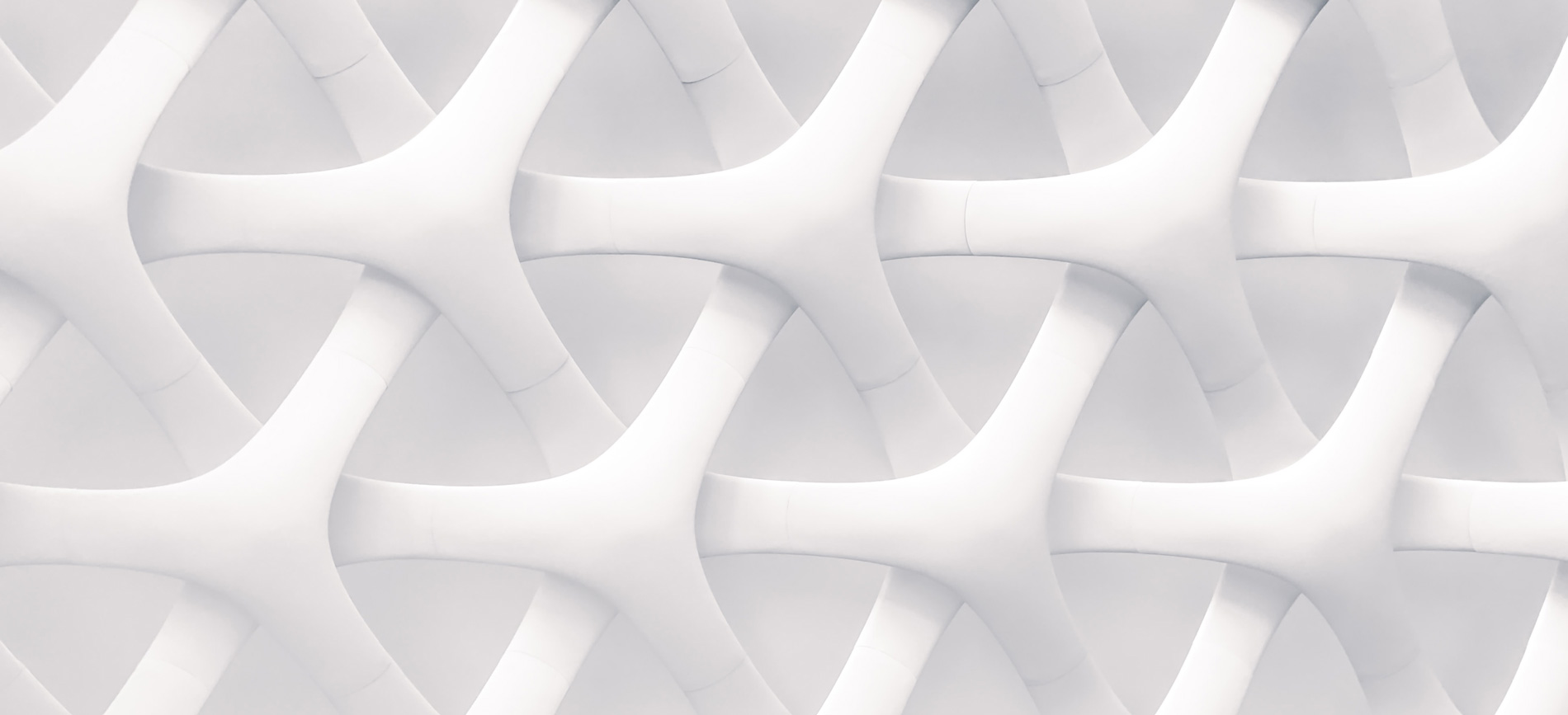 March 26 - 27, 2025 <br>LYON - FRANCE